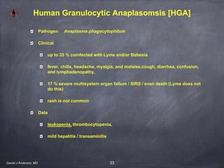 33
Human Granulocytic Anaplasomsis [HGA]
Pathogen Anaplasma phagocytophilum
Clinical
up to 35 % coinfected with Lyme and/or Babesia
fever, chills, headache, myalgia, and malaise,cough, diarrhea, confusion,
and lymphadenopathy,
17 % severe multisystem organ failure / SIRS / even death (Lyme does not
do this)
rash is not common
Data
leukopenia, thrombocytopenia,
mild hepatitis / transaminitis
Daniel J Anderson, MD
 
