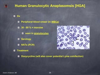 34
Human Granulocytic Anaplasomsis [HGA]
Dx
Peripheral blood smear (in WBCs)
30 - 80 % + morulae
seen in granulocytes
Serology
NATs (PCR)
Treatment
Doxycycline (will also cover potential Lyme coinfection)
Daniel J Anderson, MD
 