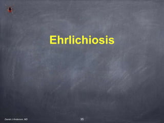 35
Ehrlichiosis
Daniel J Anderson, MD
 
