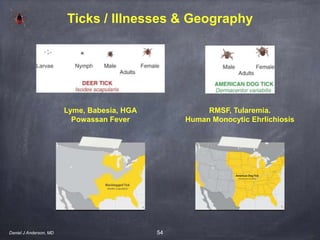 54Daniel J Anderson, MD
Lyme, Babesia, HGA
Powassan Fever
RMSF, Tularemia.
Human Monocytic Ehrlichiosis
Ticks / Illnesses & Geography
 