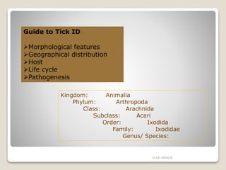 ICAR-NBAGR
Kingdom: Animalia
Phylum: Arthropoda
Class: Arachnida
Subclass: Acari
Order: Ixodida
Family: Ixodidae
Genus/ Species:
Guide to Tick ID
Morphological features
Geographical distribution
Host
Life cycle
Pathogenesis
 