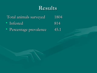 ResultsResults
Total animals surveyedTotal animals surveyed 18041804
• InfestedInfested 814814
• Percentage prevalencePercentage prevalence 45.145.1
 