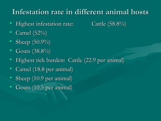 Infestation rate in different animal hostsInfestation rate in different animal hosts
• Highest infestation rate:Highest infestation rate: Cattle (58.8%)Cattle (58.8%)
• Camel (52%)Camel (52%)
• Sheep (50.9%)Sheep (50.9%)
• Goats (38.8%)Goats (38.8%)
• Highest tick burden: Cattle (22.9 per animal)Highest tick burden: Cattle (22.9 per animal)
• Camel (18.8 per animal)Camel (18.8 per animal)
• Sheep (10.9 per animal)Sheep (10.9 per animal)
• Goats (10.5 per animal)Goats (10.5 per animal)
 