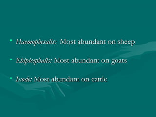 • Haemophesalis:Haemophesalis: Most abundant on sheepMost abundant on sheep
• Rhipicephalis:Rhipicephalis: Most abundant on goatsMost abundant on goats
• Ixode:Ixode: Most abundant on cattleMost abundant on cattle
 