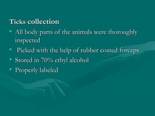 TicksTicks collectioncollection
• All body parts of the animals were thoroughlyAll body parts of the animals were thoroughly
inspectedinspected
• Picked with the help of rubber coated forcepsPicked with the help of rubber coated forceps
• Stored in 70% ethyl alcoholStored in 70% ethyl alcohol
• Properly labeledProperly labeled
 