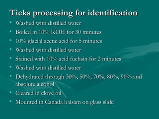Ticks processing for identificationTicks processing for identification
• Washed with distilled waterWashed with distilled water
• Boiled in 10% KOH for 30 minutesBoiled in 10% KOH for 30 minutes
• 10% glacial acetic acid for 5 minutes10% glacial acetic acid for 5 minutes
• Washed with distilled waterWashed with distilled water
• Stained with 10% acid fuchsin for 2 minutesStained with 10% acid fuchsin for 2 minutes
• Washed with distilled waterWashed with distilled water
• Dehydrated through 30%, 50%, 70%, 80%, 90% andDehydrated through 30%, 50%, 70%, 80%, 90% and
absolute alcoholabsolute alcohol
• Cleared in clove oilCleared in clove oil
• Mounted in Canada balsam on glass slideMounted in Canada balsam on glass slide
 