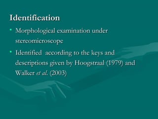 IdentificationIdentification
• Morphological examination underMorphological examination under
stereomicroscopestereomicroscope
• Identified according to the keys andIdentified according to the keys and
descriptions given by Hoogstraal (1979) anddescriptions given by Hoogstraal (1979) and
WalkerWalker et alet al. (2003). (2003)
 