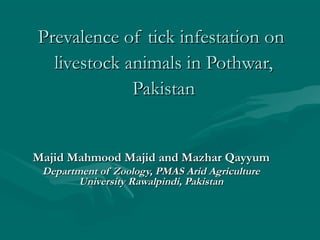 Prevalence of tick infestation onPrevalence of tick infestation on
livestock animals in Pothwar,livestock animals in Pothwar,
PakistanPakistan
Majid MahmoodMajid Mahmood MajidMajid and Mazhar Qayyumand Mazhar Qayyum
Department of Zoology, PMAS Arid AgricultureDepartment of Zoology, PMAS Arid Agriculture
University Rawalpindi, PakistanUniversity Rawalpindi, Pakistan
 