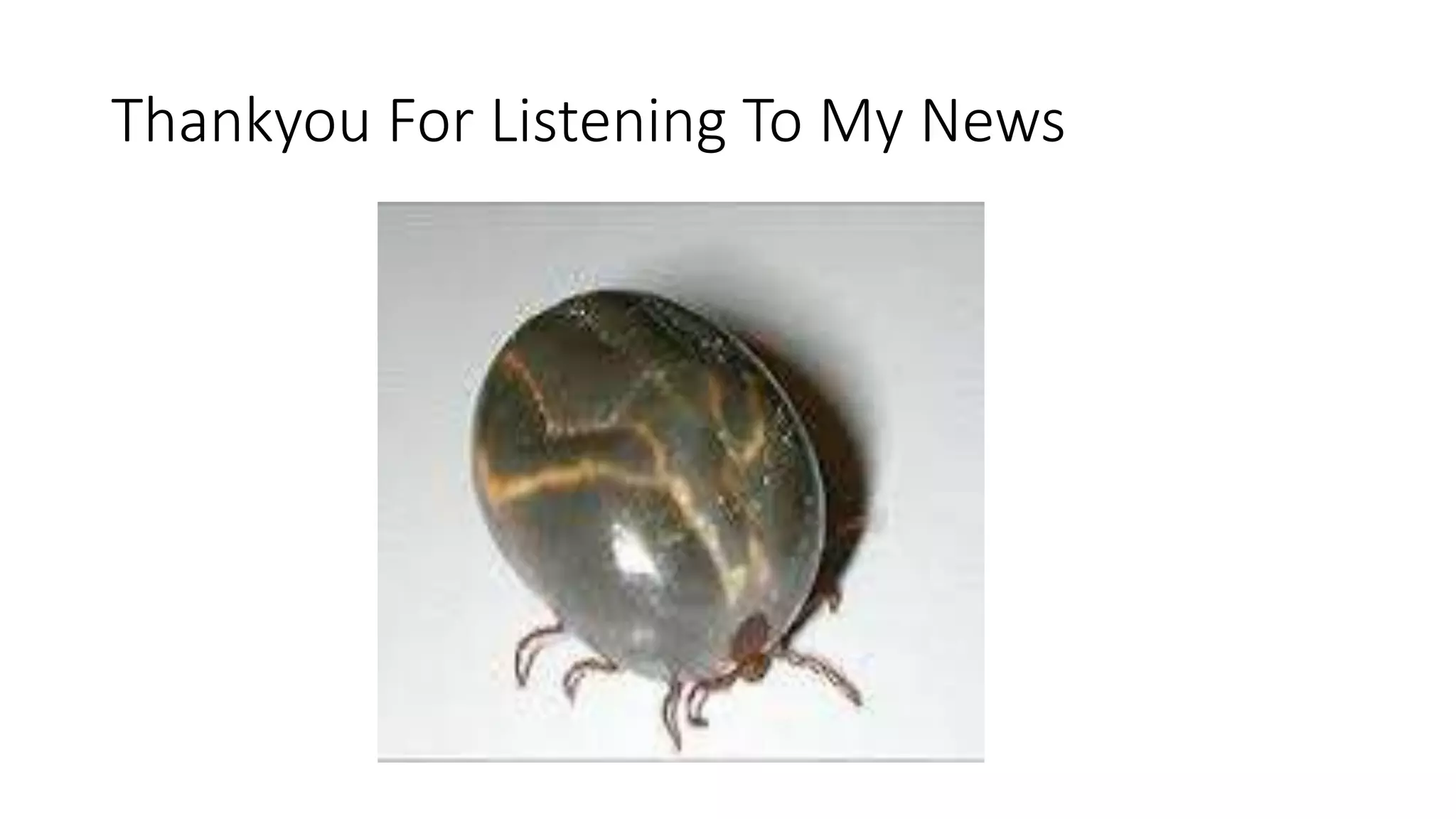 Thankyou For Listening To My News