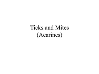 Ticks and Mites
(Acarines)
 