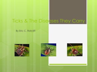 Ticks & The Diseases They Carry
By Eric C. Ratcliff
 