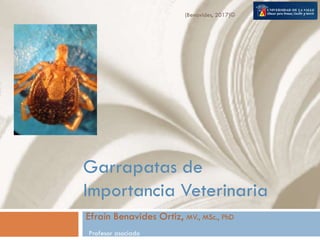 Garrapatas de
Importancia Veterinaria
Efraín Benavides Ortiz, MV., MSc., PhD
Profesor asociado
(Benavides, 2017)©
 