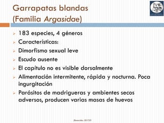Garrapatas blandas
(Familia Argasidae)
➢ 183 especies, 4 géneros
➢ Características:
➢ Dimorfismo sexual leve
➢ Escudo ausente
➢ El capítulo no es visible dorsalmente
➢ Alimentación intermitente, rápida y nocturna. Poca
ingurgitación
➢ Parásitos de madrigueras y ambientes secos
adversos, producen varias masas de huevos
(Benavides, 2017)©
 