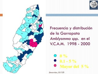 (Benavides, 2017)©
Frecuencia y distribución
de la Garrapata
Amblyomma spp. en el
V.C.A.M. 1998 - 2000
0 %
0.1 - 5 %
Mayor del 5 %
 