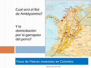 Focos de Fiebres moteadas en Colombia
(Benavides, 2017)©
Cual será el Rol
de Amblyomma?
Y la
domiciliación
por la garrapata
del perro?
1
2
3
4
 