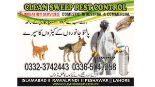 ticks and fleas spray services in islamabad