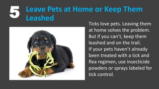 Leave Pets at Home or Keep Them
Leashed5 Ticks love pets. Leaving them
at home solves the problem.
But if you can’t, keep ...