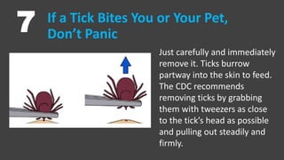 If a Tick Bites You or Your Pet,
Don’t Panic7
Just carefully and immediately
remove it. Ticks burrow
partway into the skin...