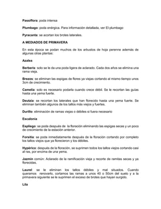 Passiflora: poda intensa 
Plumbago: poda enérgica. Para información detallada, ver El plumbago 
Pyracanta: se acortan los brotes laterales. 
A MEDIADOS DE PRIMAVERA 
En esta época se podan muchos de los arbustos de hoja perenne además de algunas otras plantas: 
Azalea 
Berberis: solo se le da una poda ligera de aclarado. Cada dos años se elimina una rama vieja. 
Brezos: se eliminan las espigas de flores ya viejas cortando al mismo tiempo unos 3cm de crecimiento. 
Camelia: solo es necesario podarla cuando crece débil. Se le recortan las guías hasta una yema fuerte. 
Deutzia: se recortan los laterales que han florecido hasta una yema fuerte. Se eliminan también algunos de los tallos más viejos y fuertes. 
Durillo: eliminación de ramas viejas o débiles si fuera necesario 
Escalonia 
Espliego: se poda después de la floración eliminando las espigas secas y un poco de crecimiento de la estación anterior. 
Forsitia: se poda inmediatamente después de la floración cortando por completo los tallos viejos que ya florecieron y los débiles. 
Hypérico: después de la floración, se suprimen todos los tallos viejos cortando casi al ras, por encima de una yema. 
Jazmín común: Aclarado de la ramificación vieja y recorte de ramitas secas y ya florecidas. 
Laurel: se le eliminan los tallos débiles y mal situados. Cuando queramos renovarlo, cortamos las ramas a unos 40 o 50cm del suelo y a la primavera siguiente se le suprimen el exceso de brotes que hayan surgido. 
Lila 
 