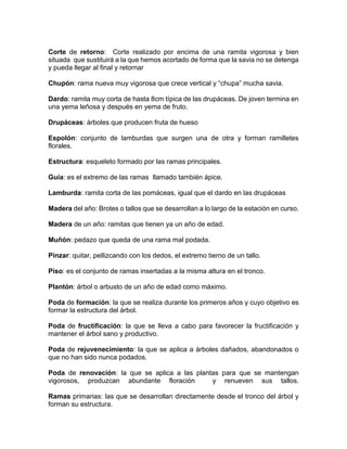 Corte de retorno: Corte realizado por encima de una ramita vigorosa y bien situada que sustituirá a la que hemos acortado de forma que la savia no se detenga y pueda llegar al final y retornar 
Chupón: rama nueva muy vigorosa que crece vertical y “chupa” mucha savia. 
Dardo: ramita muy corta de hasta 8cm típica de las drupáceas. De joven termina en una yema leñosa y después en yema de fruto. 
Drupáceas: árboles que producen fruta de hueso 
Espolón: conjunto de lamburdas que surgen una de otra y forman ramilletes florales. 
Estructura: esqueleto formado por las ramas principales. 
Guía: es el extremo de las ramas llamado también ápice. 
Lamburda: ramita corta de las pomáceas, igual que el dardo en las drupáceas 
Madera del año: Brotes o tallos que se desarrollan a lo largo de la estación en curso. 
Madera de un año: ramitas que tienen ya un año de edad. 
Muñón: pedazo que queda de una rama mal podada. 
Pinzar: quitar, pellizcando con los dedos, el extremo tierno de un tallo. 
Piso: es el conjunto de ramas insertadas a la misma altura en el tronco. 
Plantón: árbol o arbusto de un año de edad como máximo. 
Poda de formación: la que se realiza durante los primeros años y cuyo objetivo es formar la estructura del árbol. 
Poda de fructificación: la que se lleva a cabo para favorecer la fructificación y mantener el árbol sano y productivo. 
Poda de rejuvenecimiento: la que se aplica a árboles dañados, abandonados o que no han sido nunca podados. 
Poda de renovación: la que se aplica a las plantas para que se mantengan vigorosos, produzcan abundante floración y renueven sus tallos. 
Ramas primarias: las que se desarrollan directamente desde el tronco del árbol y forman su estructura.  