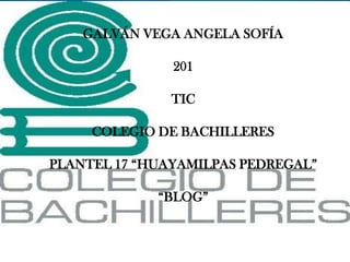 GALVÁN VEGA ANGELA SOFÍA
201
TIC
COLEGIO DE BACHILLERES
PLANTEL 17 “HUAYAMILPAS PEDREGAL”
“BLOG”
 