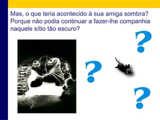 Mas, o que teria acontecido à sua amiga sombra? 
Porque não podia continuar a fazer-lhe companhia 
naquele sítio tão escuro? 
 