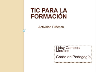 TIC PARA LA
FORMACIÓN
  Actividad Práctica




              Lidsy Campos
              Morales
              Grado en Pedagogía
 