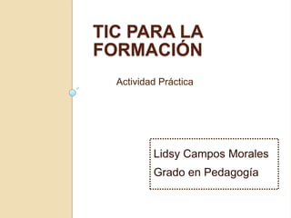 TIC PARA LA
FORMACIÓN
  Actividad Práctica




          Lidsy Campos Morales
          Grado en Pedagogía
 