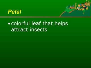 Petal colorful leaf that helps attract insects   