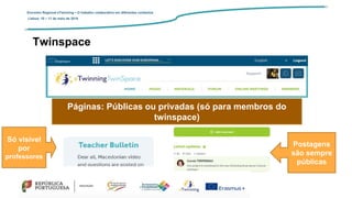 Encontro Regional eTwinning – O trabalho colaborativo em diferentes contextos
Lisboa: 10 – 11 de maio de 2019
Páginas: Públicas ou privadas (só para membros do
twinspace)
Postagens
são sempre
públicas
Só visível
por
professores
Twinspace
 