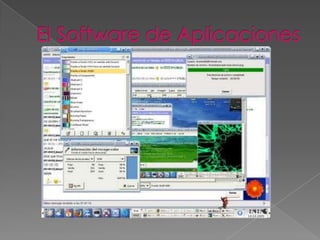 El Software de Aplicaciones