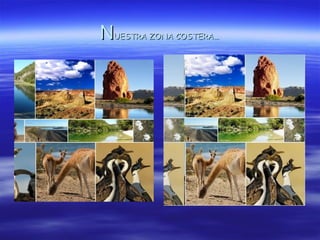 NUESTRA ZONA COSTERA…
 