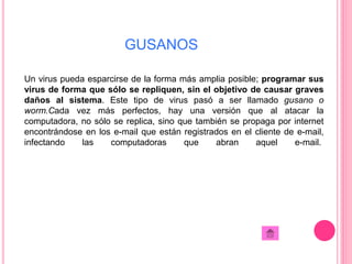 GUSANOS 
Un virus pueda esparcirse de la forma más amplia posible; programar sus 
virus de forma que sólo se repliquen, sin el objetivo de causar graves 
daños al sistema. Este tipo de virus pasó a ser llamado gusano o 
worm.Cada vez más perfectos, hay una versión que al atacar la 
computadora, no sólo se replica, sino que también se propaga por internet 
encontrándose en los e-mail que están registrados en el cliente de e-mail, 
infectando las computadoras que abran aquel e-mail. 
 