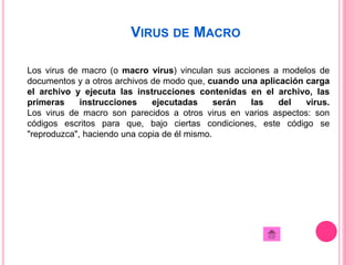 VIRUS DE MACRO 
Los virus de macro (o macro virus) vinculan sus acciones a modelos de 
documentos y a otros archivos de modo que, cuando una aplicación carga 
el archivo y ejecuta las instrucciones contenidas en el archivo, las 
primeras instrucciones ejecutadas serán las del virus. 
Los virus de macro son parecidos a otros virus en varios aspectos: son 
códigos escritos para que, bajo ciertas condiciones, este código se 
"reproduzca", haciendo una copia de él mismo. 
 