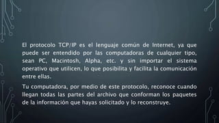 El protocolo TCP/IP es el lenguaje común de Internet, ya que
puede ser entendido por las computadoras de cualquier tipo,
sean PC, Macintosh, Alpha, etc. y sin importar el sistema
operativo que utilicen, lo que posibilita y facilita la comunicación
entre ellas.
Tu computadora, por medio de este protocolo, reconoce cuando
llegan todas las partes del archivo que conforman los paquetes
de la información que hayas solicitado y lo reconstruye.
 