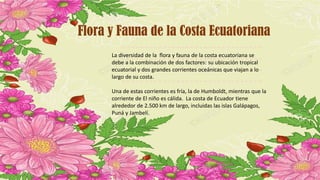 La diversidad de la flora y fauna de la costa ecuatoriana se
debe a la combinación de dos factores: su ubicación tropical
ecuatorial y dos grandes corrientes oceánicas que viajan a lo
largo de su costa.
Una de estas corrientes es fría, la de Humboldt, mientras que la
corriente de El niño es cálida. La costa de Ecuador tiene
alrededor de 2.500 km de largo, incluidas las islas Galápagos,
Puná y Jambelí.
Flora y Fauna de la Costa Ecuatoriana
 