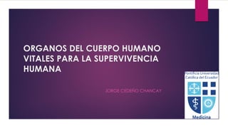 ORGANOS DEL CUERPO HUMANO
VITALES PARA LA SUPERVIVENCIA
HUMANA
• JORGE CEDEÑO CHANCAY
 