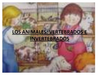 LOS ANIMALES: VERTEBRADOS E
       INVERTEBRADOS
 