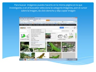 Para buscar imágenes puedes hacerlo en la misma página en la que
investigaste, o en el buscador selecciona la categoría imágenes, pon el cursor
sobre la imagen, da click derecho y elija copiar imágen
 