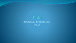 Ramirez Amador Luis Enrique
1159491
 