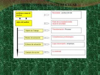 LOGICA DEL DISEÑO CURRICULAR 