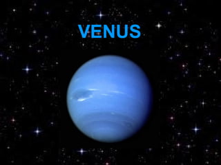 VENUS
 