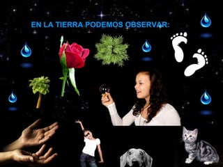 EN LA TIERRA PODEMOS OBSERVAR:
 