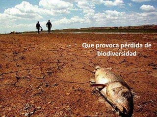 MODIFICACIÓN DEL CLIMA



                         Que provoca pérdida de
                             biodiversidad
 