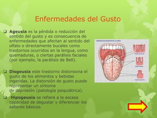 Enfermedades del Gusto
 Ageusia es la pérdida o reducción del
sentido del gusto y es consecuencia de
enfermedades que afectan al sentido del
olfato o directamente bucales como
trastornos ocurridos en la lengua, como
quemaduras, o ciertas parálisis faciales
(por ejemplo, la parálisis de Bell).
 Disgeusia este trastorno distorsiona el
gusto de los alimentos y bebidas
ingeridas. La distorsión de gusto puede
representar un síntoma
de depresión (patología psiquiátrica).
 Hipogeusia se refiere a la escasa
capacidad de degustar y diferenciar los
sabores básicos.
 