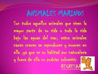 ANIMALES MARINOS
Son todos aquellos animales que viven la
mayor parte de su vida o toda la vida
bajo las aguas del mar, estos animales
nacen crecen se reproducen y mueren en
ella ,ya que es su habitad por naturaleza
y fuera de ella no podrían sobrevivir
REGRESAR .
 