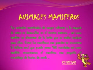 ANIMALES MAMIFEROS
Son animales vertebrados de sangre caliente y la mayoría
de estos se desarrollan en el vientre materno , así como
también se alimentan de la leche que su madre produce
para ellos. Entre los mamíferos mas grandes se encuentra
la ballena azul que puede pesar 160 toneladas así como
también encontramos el mamífero mas pequeño el
murciélago de hocico de cerdo .
REGRESAR
 