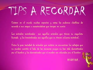 TIPS A RECORDAR
Existen en el mundo muchas especies y estas las podemos clasificar de
acuerdo a sus rasgos o características que tengan en común
Los animales vertebrados son aquellos animales que tienen su esqueleto
formado y los invertebrados son aquellos que no tienen columna vertebral.
.
Entre la gran variedad de animales que existen se encuentran los salvajes que
no pueden convivir al lado de las personas porque no han sido domesticados
por el hombre y los domesticados que si pueden ser educados por el hombre
REGRESAR .
 