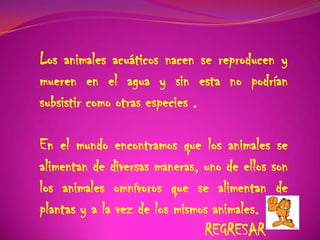 Los animales acuáticos nacen se reproducen y
mueren en el agua y sin esta no podrían
subsistir como otras especies .
En el mundo encontramos que los animales se
alimentan de diversas maneras, uno de ellos son
los animales omnívoros que se alimentan de
plantas y a la vez de los mismos animales.
REGRESAR
 