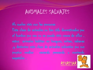 ANIMALES SALVAJES
No suelen vivir con las personas
Esta clase de animales no han sido domesticados por
el hombre por eso no se puede vivir cerca de ellos .
estos animales habitan en bosques, selvas, sabanas
,y desiertos esta clase de animales sobrevive por sus
propios medios cazando pescando o comiendo
vegetales .
REGRESAR
 